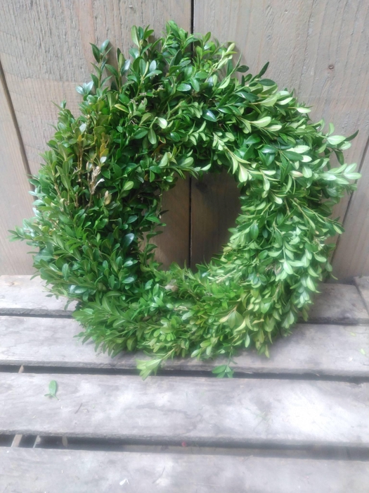 <h4>KRANZ 17 BUX KRANZ 25CM</h4>