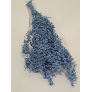 PEPPERBERRIES LICHTBLAUW