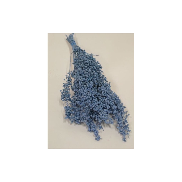 <h4>PEPPERBERRIES LICHTBLAUW</h4>