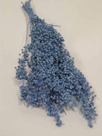 PEPPERBERRIES LICHTBLAUW