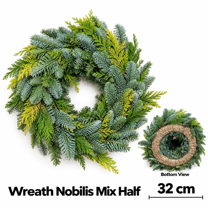 <h4>ABIES NOBILIS BLAUW</h4>