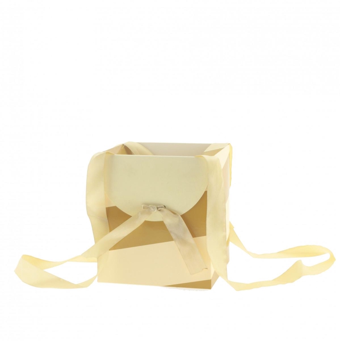 <h4>Bags Muse 16*16*18cm</h4>