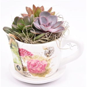 Keramiek K & S roosopdr. 10cm