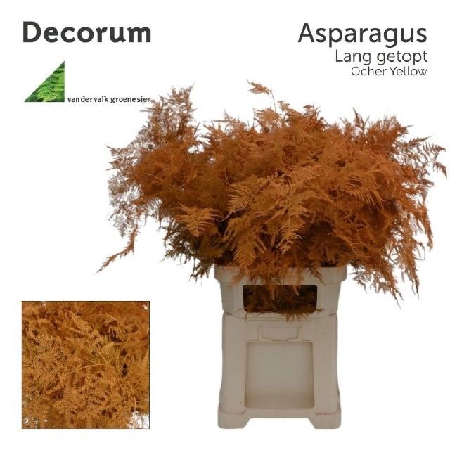 <h4>ASP OV KLB H%</h4>