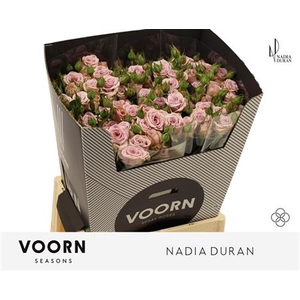 R Tr Nadia Duran
