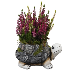 Arr.   Tuinplanten L%