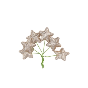 Pick Shine Star Cozy Champagne 4x7cm Per 96