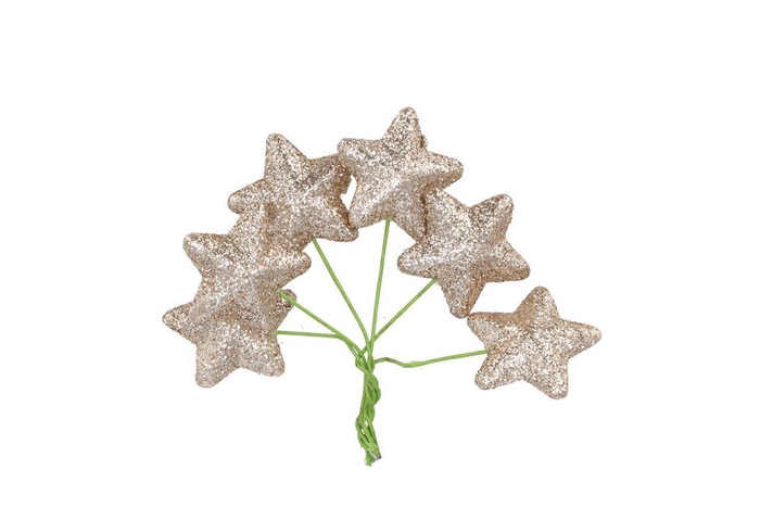 Pick Shine Star Cozy Champagne 4x7cm Per 96