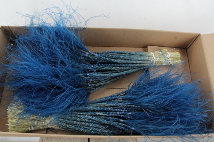 <h4>DF Stypha 60cm Bs Dark Blue</h4>