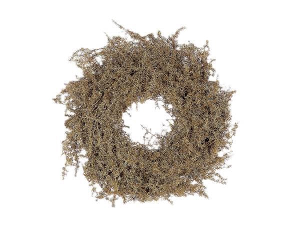 <h4>Wr Asparagus Gold Glitter 30cm</h4>