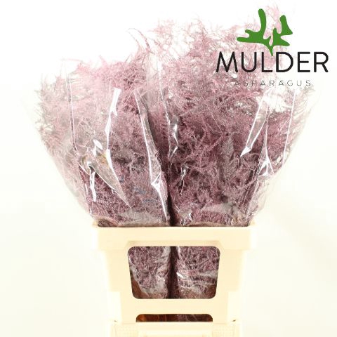 <h4>Snijgroen RoseGold Extra Veren</h4>