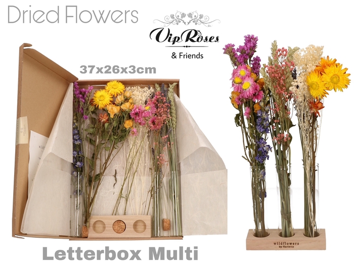 DRIED LETTERBOX MULTI TUBES