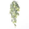AF Hang Bush Lunaria x5 L79cm