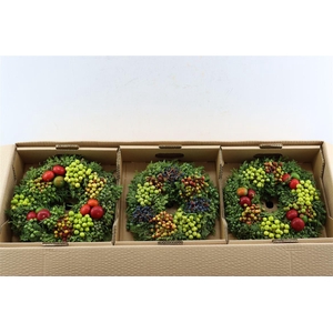 Wr Sierfruit 30cm Junicolor (anttar)