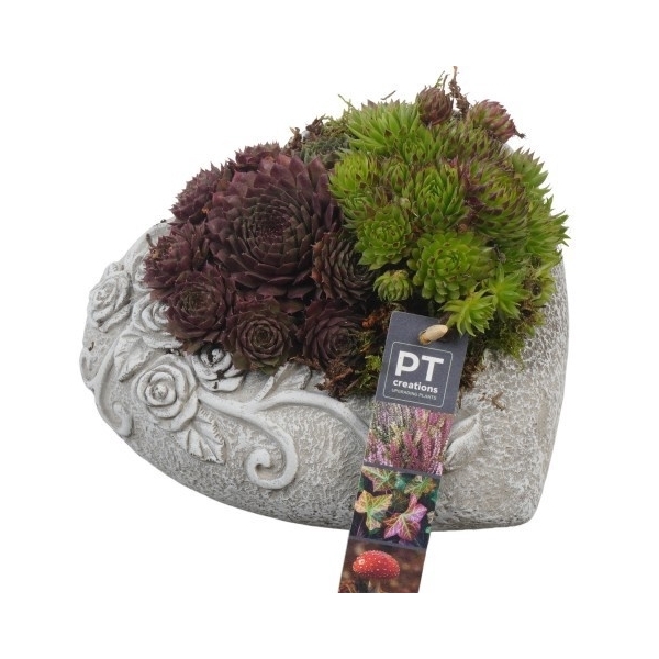 <h4>PTAH8611 Arrangement Allerheiligen in beton hart</h4>