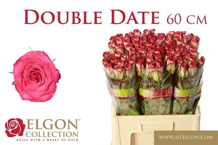 <h4>R GR DOUBLE DATE!</h4>