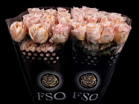 <h4>R Gr Tie Dye</h4>