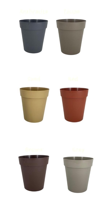 <h4>Pot 27cm All colours mixed</h4>