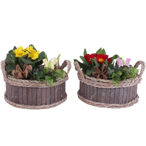 Early Spring Arr. Outdoor Wooden Pot Round Waterhyacint RimØ25cm
