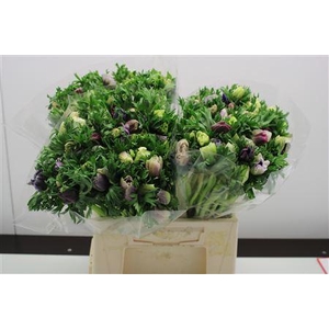 Anem Extra Pastel Lichtblauw