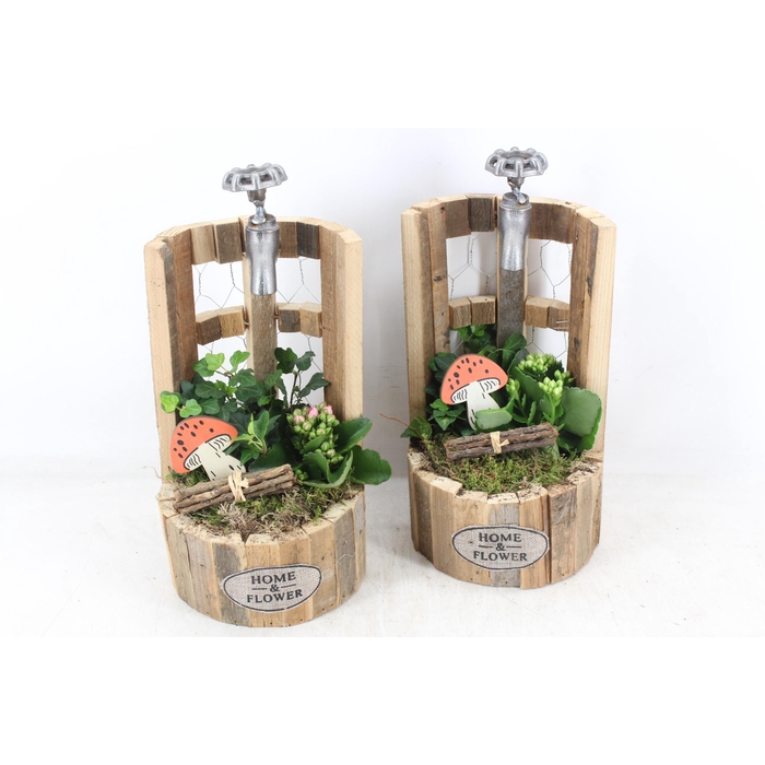 <h4>Arr2 Td - Hout Waterput - Oranje/wit</h4>