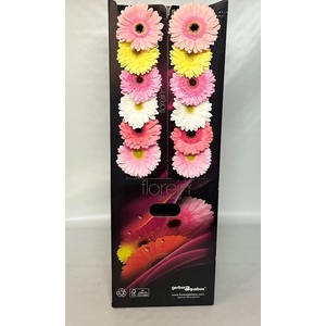 Gerbera Mix 4 kleuren Aquabox