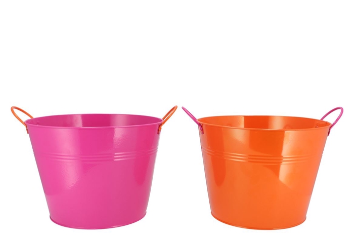 <h4>Zinc Basic Fuchsia/orange Ears Bucket 27x20cm</h4>