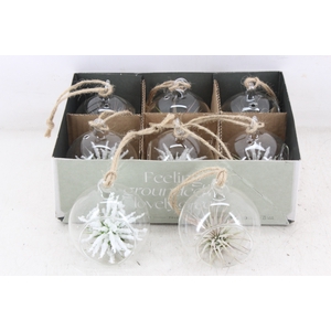 arr3 CP - Mini glas bol red white