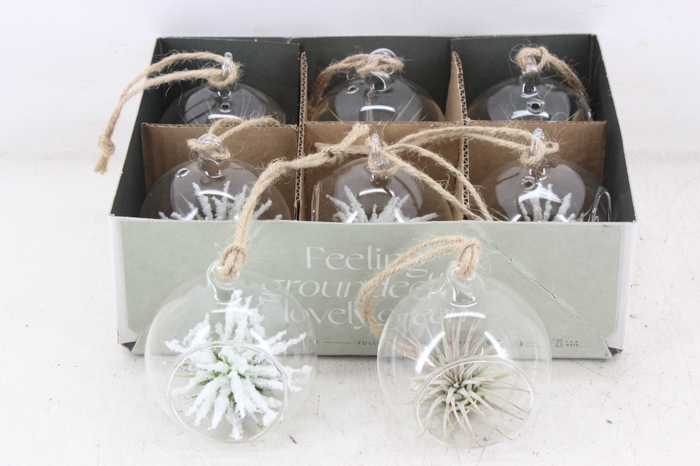 <h4>arr3 CP - Mini glas bol red white</h4>