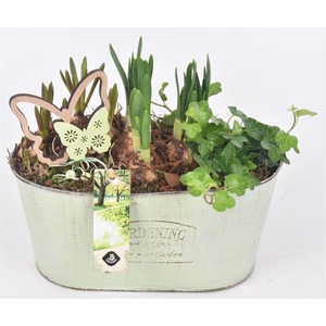 Zink ovaal gardening 25x14.5cm