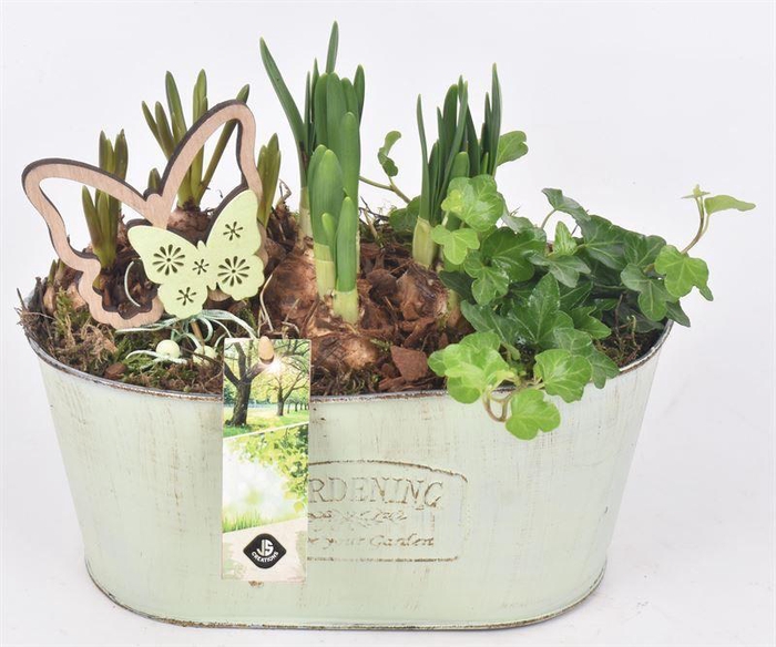 <h4>Zink ovaal gardening 25x14.5cm</h4>