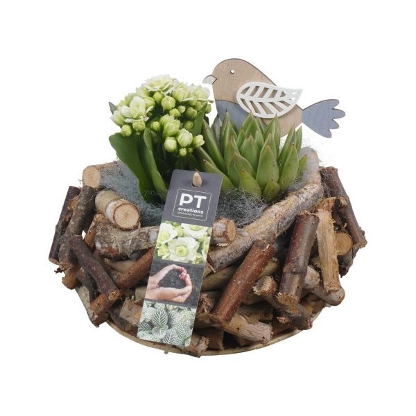 <h4>PTIB6553 Arrangement Indoor in houten bak</h4>