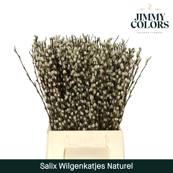 <h4>Salix Katjes L50 Naturel</h4>
