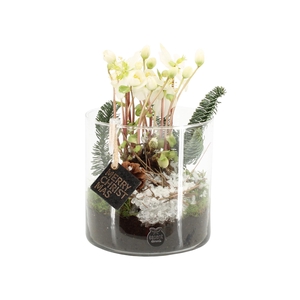 61700: X-mas arrangement