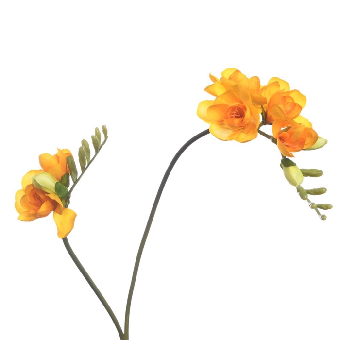 AF Freesia x2 L74cm Yellow