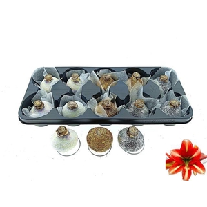 HIPP WAX GLITTER MIX SILVER GOLD