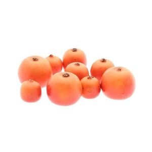 Apple Malus 3 Size 9Pcs