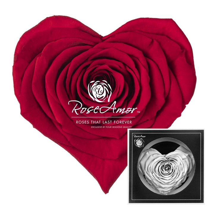 <h4>Corazon Red02</h4>