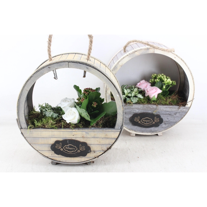 <h4>Arr2 Td - Houten Wiel - Roze/wit</h4>