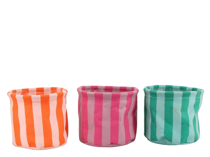 <h4>H0063: Hardwaress corduroy</h4>