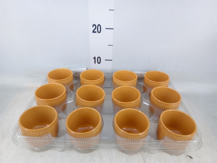 <h4>Pot   ...Keramische H%</h4>