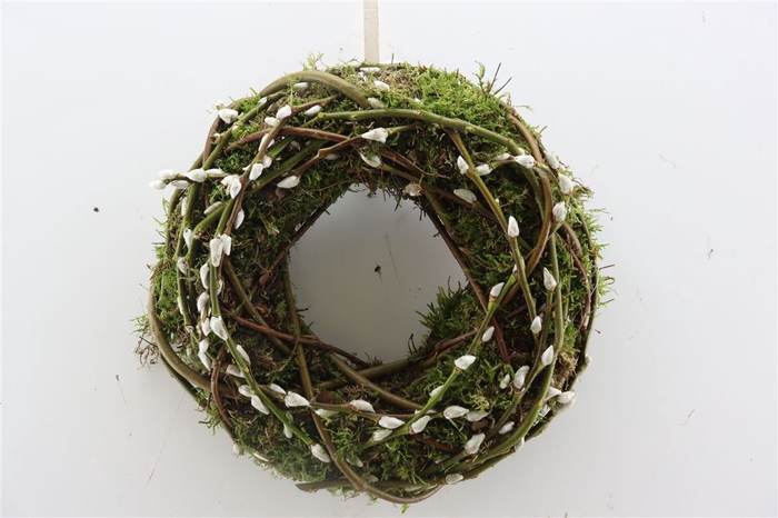 <h4>Wr Moss Pussy Willow 30cm</h4>