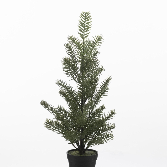 <h4>Pine Tree in pot Green XM660121GRN</h4>
