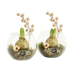 61894: X-mas arrangement