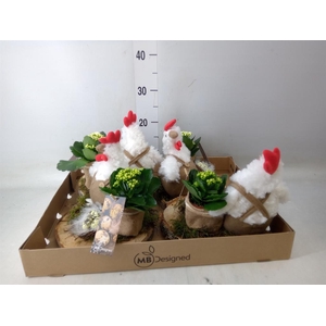 Planten ..in schaal H%