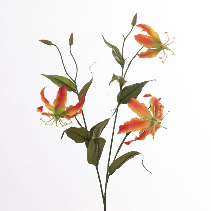 <h4>AF Gloriosa L92cm Orange</h4>