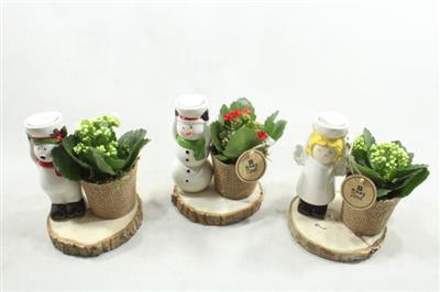 <h4>7280 Kerstfiguur Op Schors</h4>