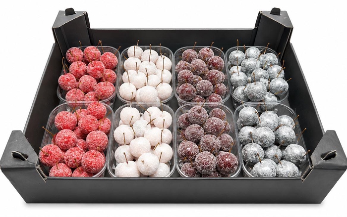 <h4>Waxmalus Gl Mix</h4>
