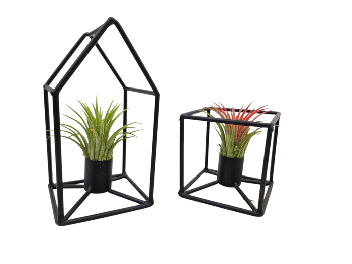 <h4>Tillandsia House square frame mix</h4>