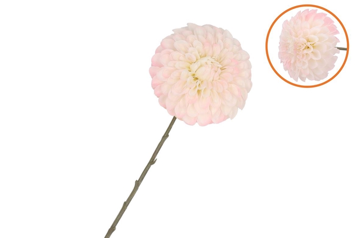 Silk Dahlia Bold White/light Pink 68cm